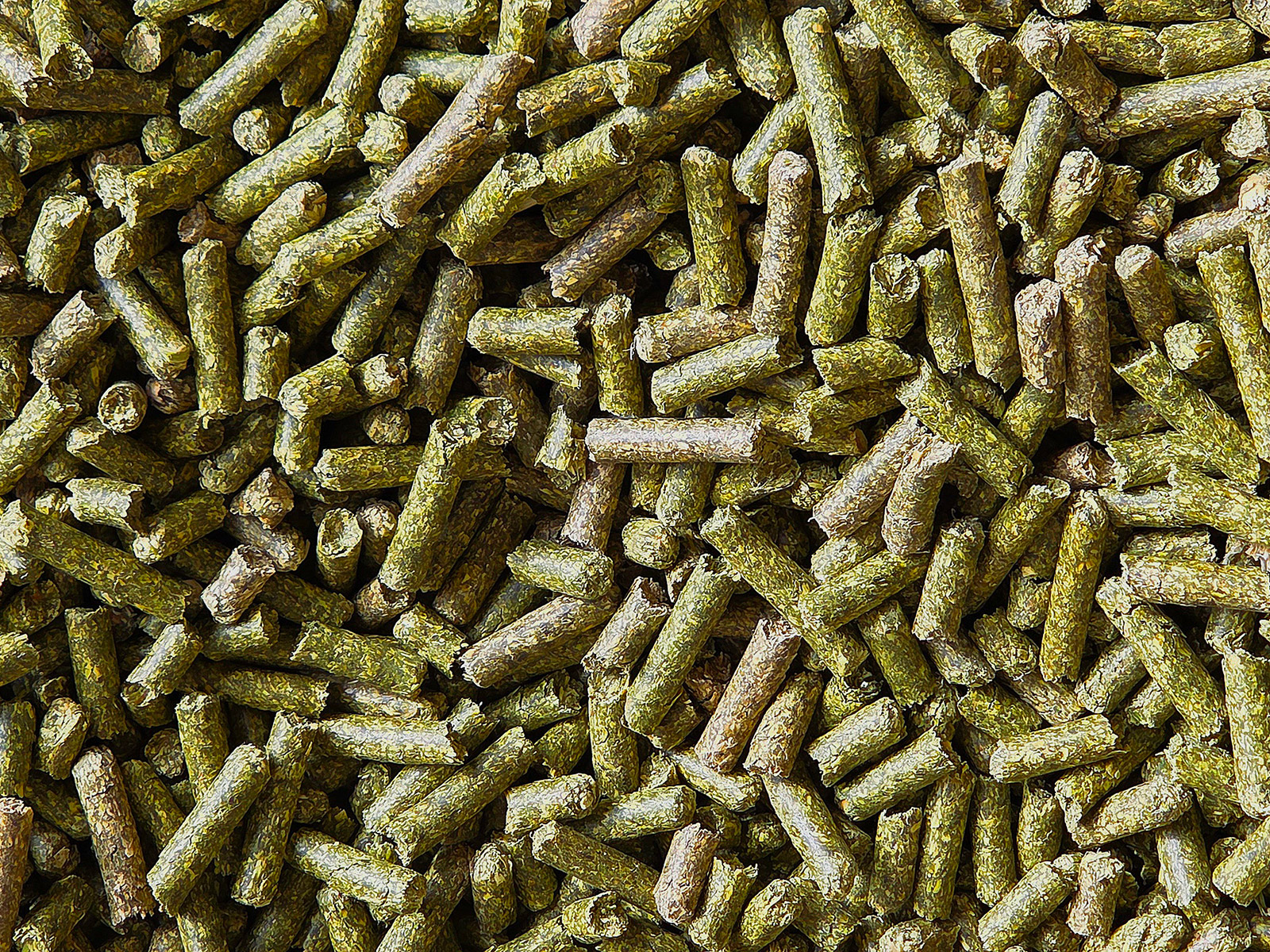 Pellets De Luzerne Un Format Pratique Pour L alimentation Des Animaux 